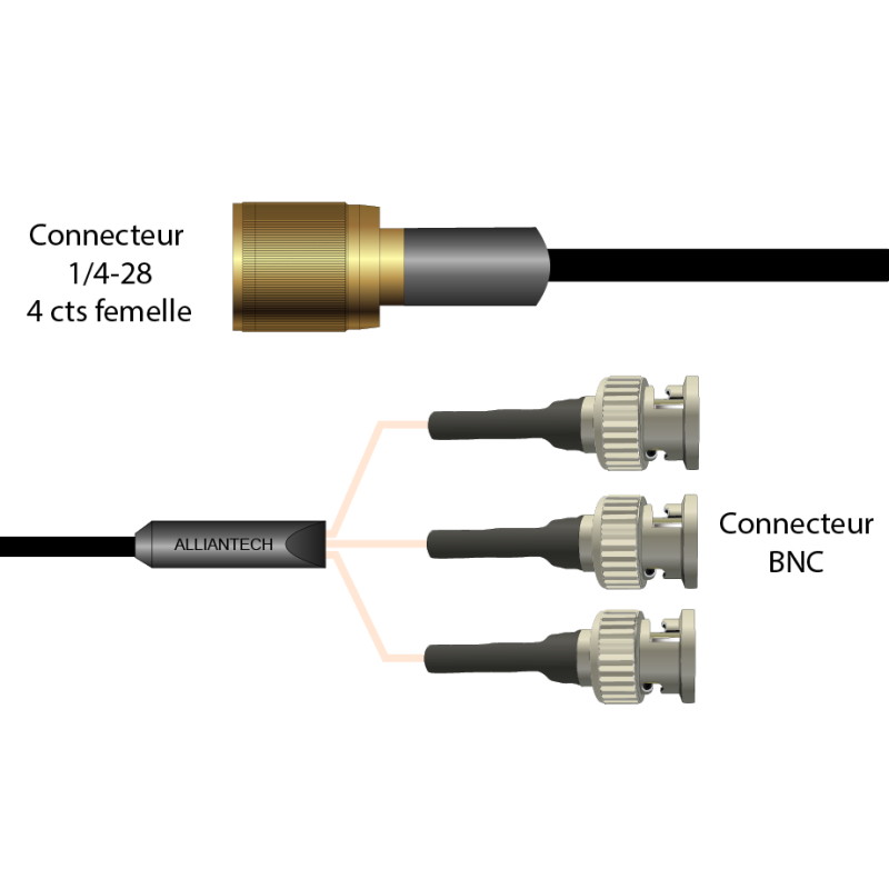 Câble Triaxial 4Pin Vers Bnc Cable Téflon Multiconducteurs AT-0520-XX