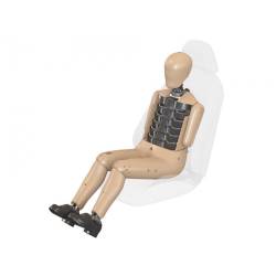 Mannequin De Choc Latéral Homme WorldSID-50M