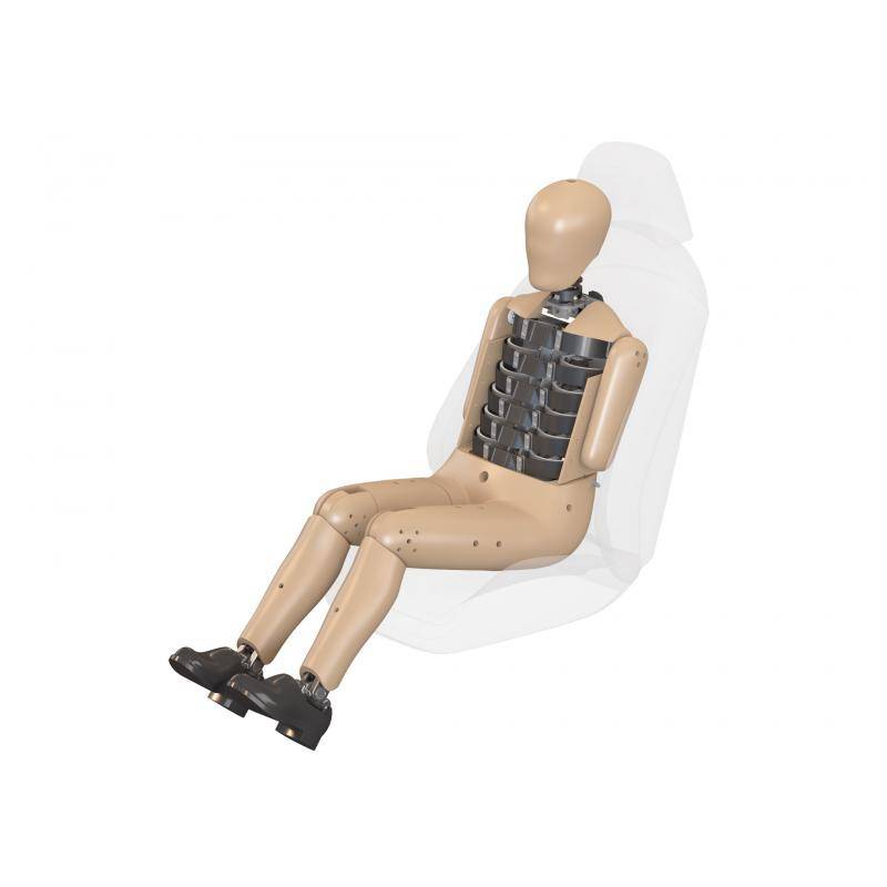 Mannequin De Choc Latéral Homme WorldSID-50M