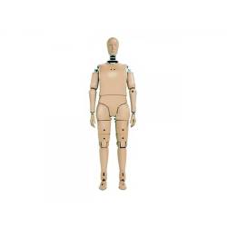 Mannequin Piéton Homme HIII-95M PED