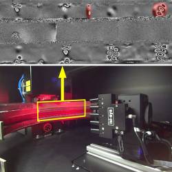 Soudage Bande Étanchéité Système Shearographie Détection Rapide Défauts Déformations CND SE4