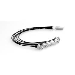 Câble De Séparation - 7-Pin Lemo Vers 6 X Smb AC0015