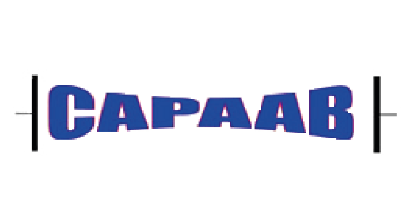 logo capaab capteurs capacitifs conditionneurs