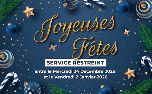 joyeuses fetes fin année 2025